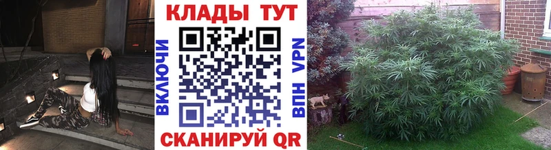 ГАШ Курган