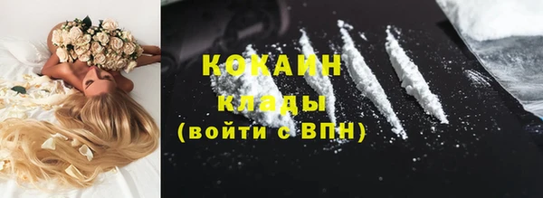 гидропоника Пересвет