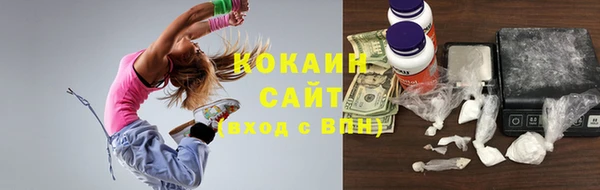 дмт Арсеньев