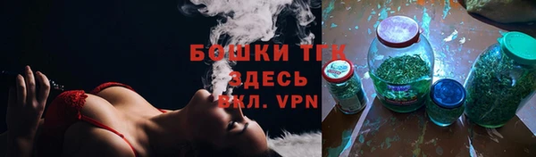 дмт Арсеньев