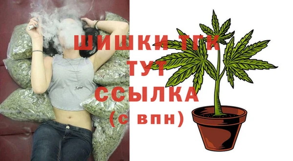 тгк Алзамай