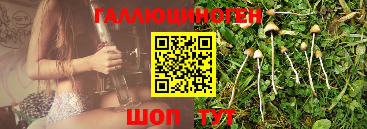 Галлюциногенные грибы MAGIC MUSHROOMS Курган