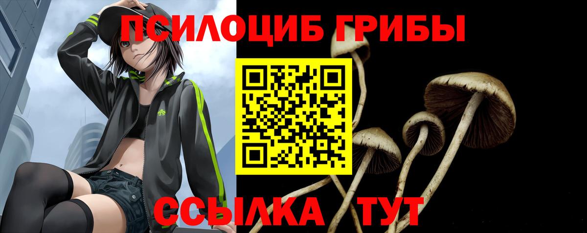 магазин продажи наркотиков  Галлюциногенные грибы Cubensis  Курган  Вход с VPN  Галлюциногенные грибы MAGIC MUSHROOMS 